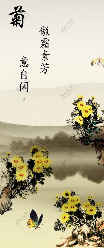 中国风背景菊花传统文化图片
