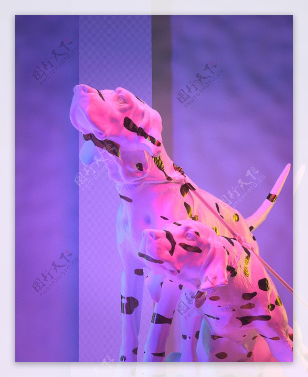 C4D模型斑点狗图片